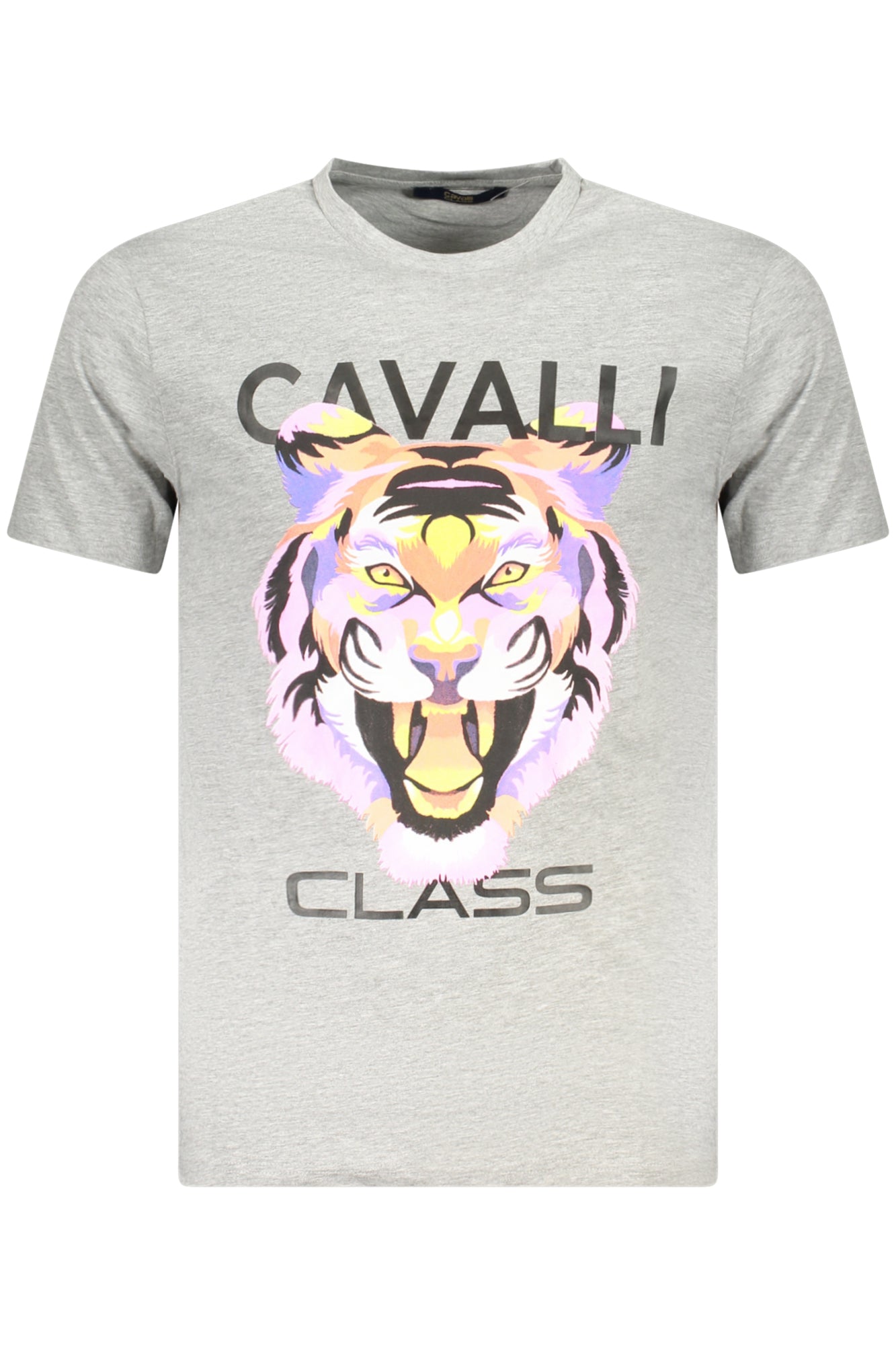 CAMISETA DE MANGA CORTA CAVALLI CLASS PARA HOMBRE GRIS 